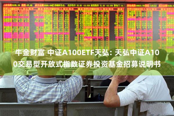 牛金财富 中证A100ETF天弘: 天弘中证A100交易型开放式指数证券投资基金招募说明书