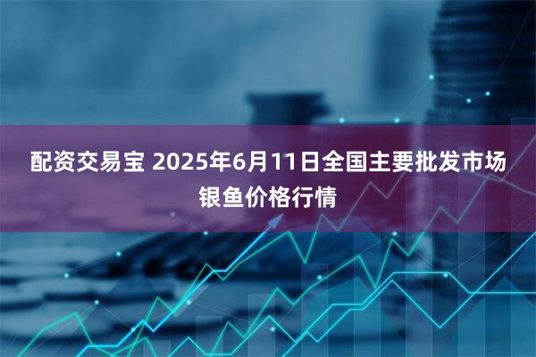 配资交易宝 2025年6月11日全国主要批发市场银鱼价格行情