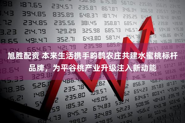 旭胜配资 本来生活携手畇鹊农庄共建水蜜桃标杆品牌，为平谷桃产业升级注入新动能