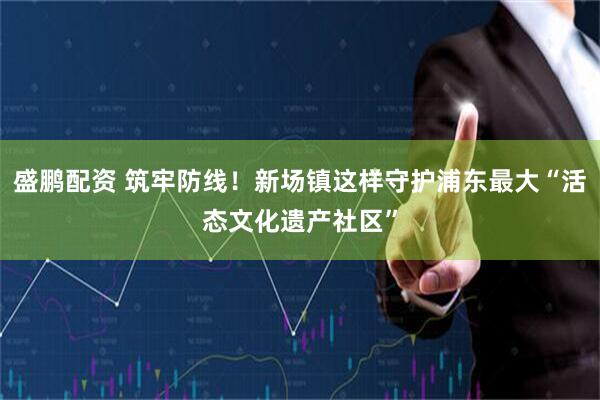 盛鹏配资 筑牢防线！新场镇这样守护浦东最大“活态文化遗产社区”