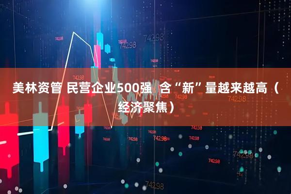 美林资管 民营企业500强  含“新”量越来越高（经济聚焦）