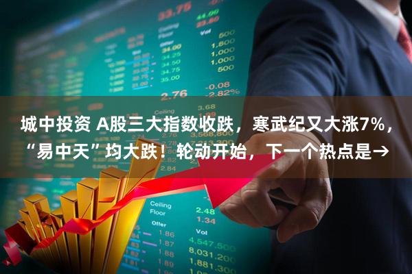 城中投资 A股三大指数收跌，寒武纪又大涨7%，“易中天”均大跌！轮动开始，下一个热点是→