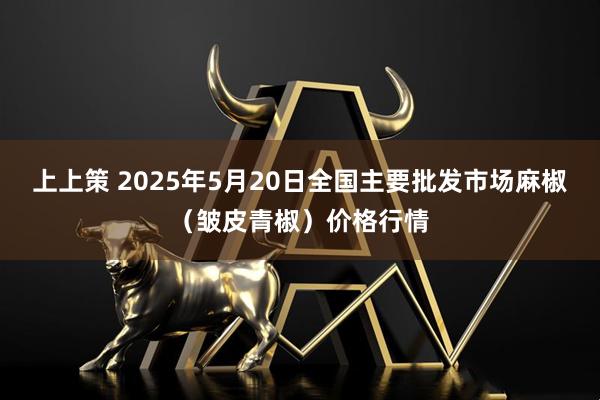 上上策 2025年5月20日全国主要批发市场麻椒（皱皮青椒）价格行情
