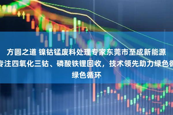 方圆之道 镍钴锰废料处理专家东莞市至成新能源，专注四氧化三钴、磷酸铁锂回收，技术领先助力绿色循环