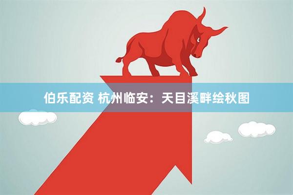 伯乐配资 杭州临安：天目溪畔绘秋图